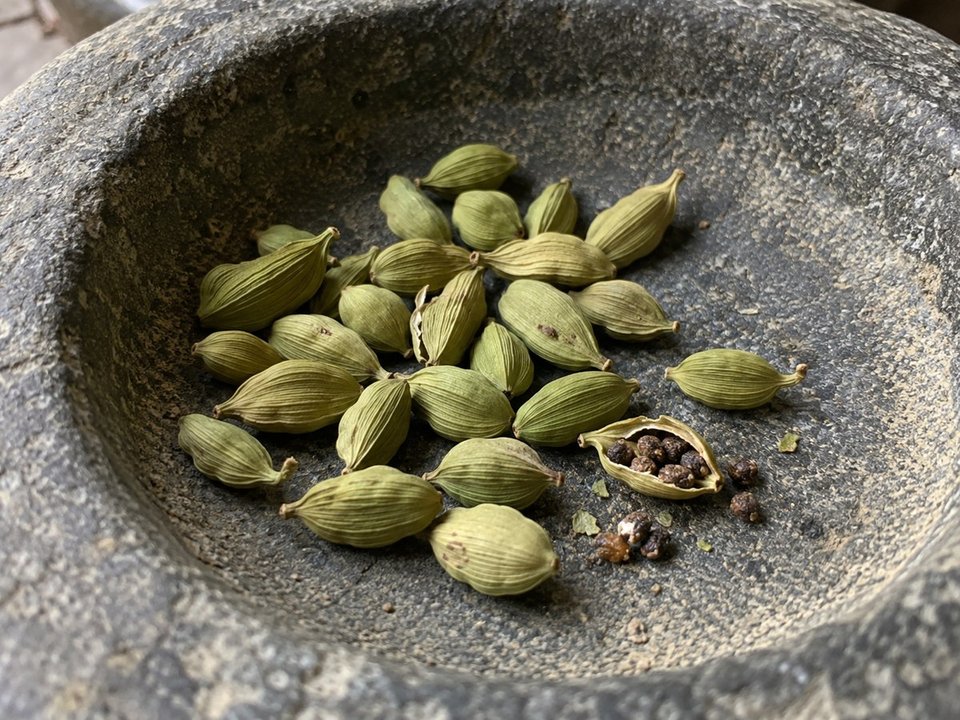 Green cardamom — AI-generated illustration