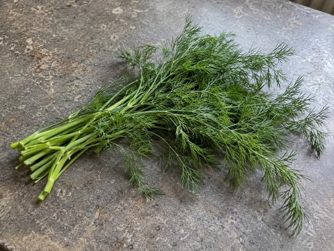 Dill — KI-erzeugte Illustration