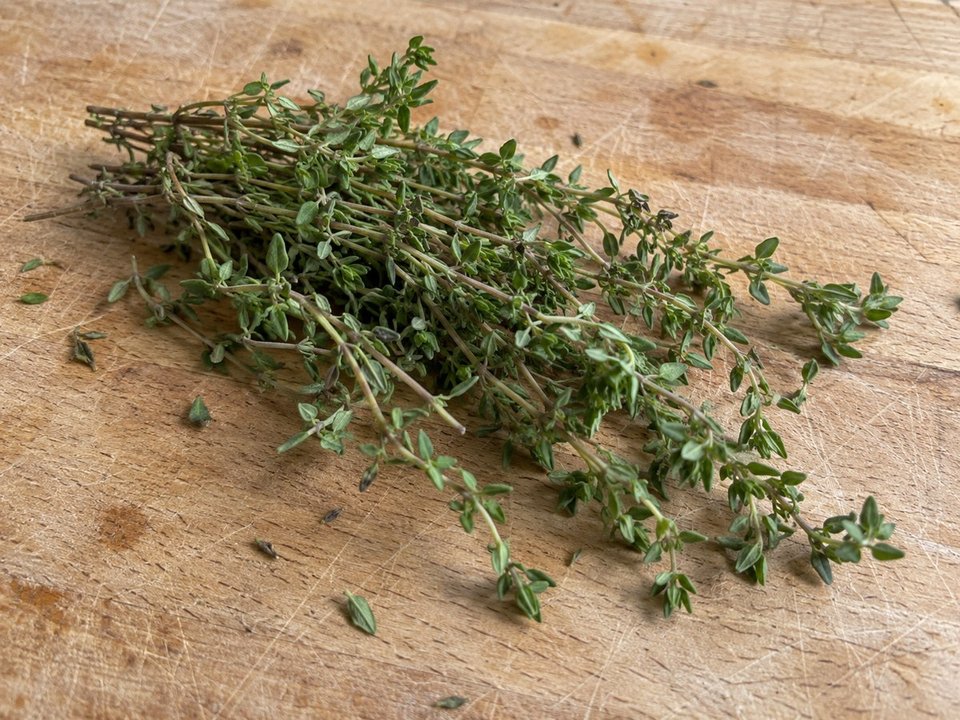 Thyme — AI-generated illustration